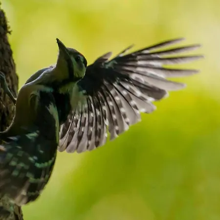 Vintage With Pets Сasa de vacaciones Daverdisse