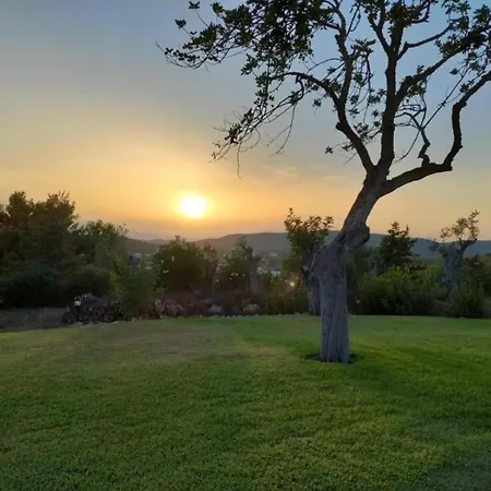 Vintage With Pets * Daverdisse