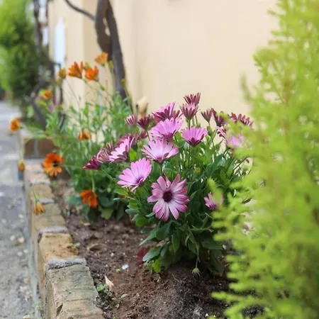 Сasa de vacaciones Vintage With Pets *